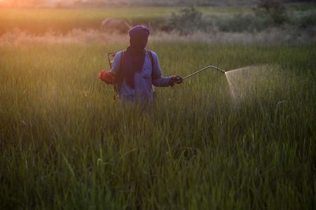 20-01/20/1d210ae8-2411-4bde-86c6-60757a8c8972