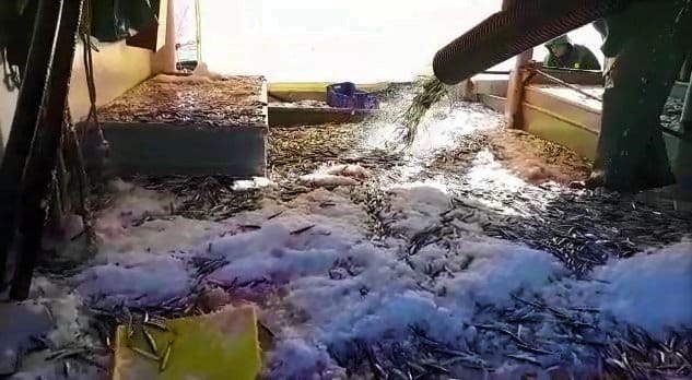 20-01/22/aw915427_01