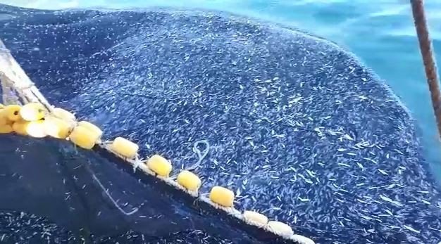 20-01/22/aw915427_02