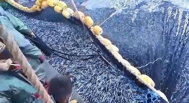 20-01/22/aw915427_04