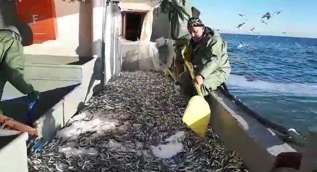 20-01/22/aw915427_05