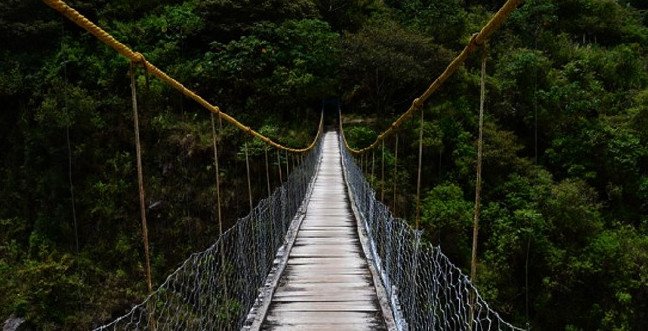 20-01/22/ruyada-kopru-gormekjpgg