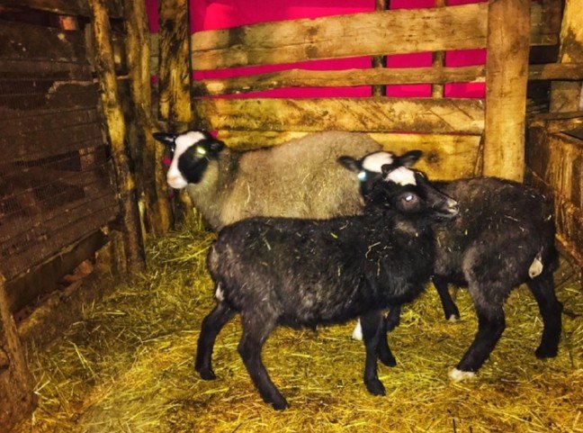 20-01/23/aw916304_01