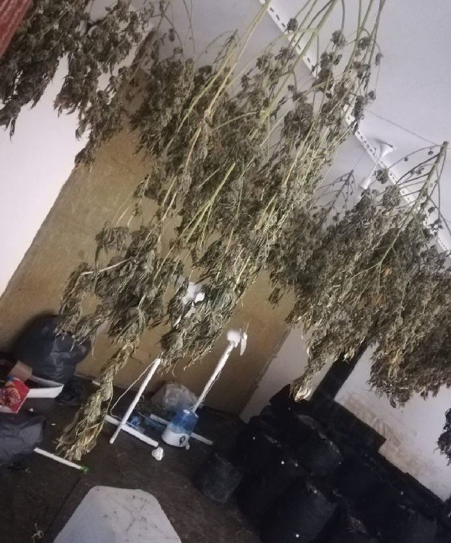 20-01/24/1-1579858481