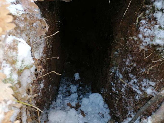 20-01/24/20200124_2_40478577_51466162