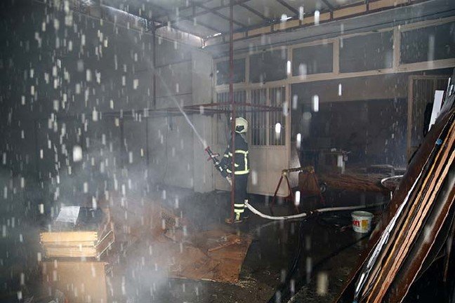 20-01/24/20200124_2_40484845_51479655