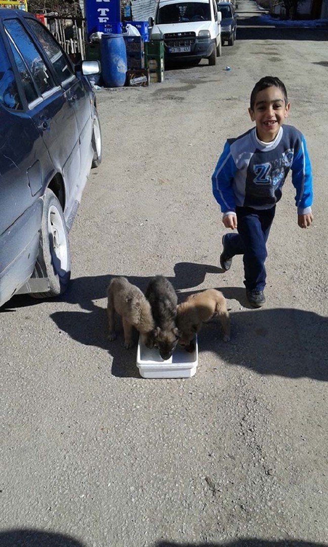 20-01/25/enkazdan-8-dakika-arayla-cikarilan-mirac-hayatini-kaybetti-annesi-tedaviye-alindi-ek-fotograf_4971_dhaphoto1