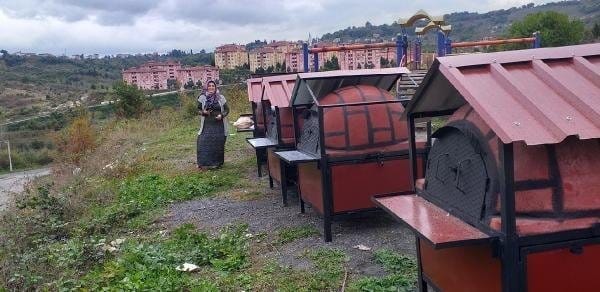 20-01/26/90945e49ca71a20a13065ecaf7036942-1580020955