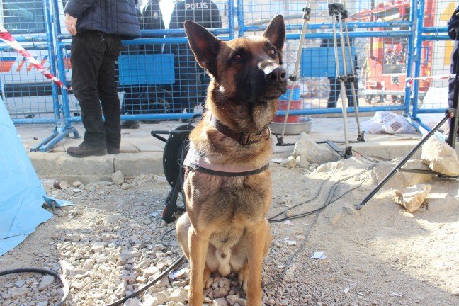 20-01/27/aw919604_05