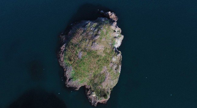 20-01/28/1-1580193347