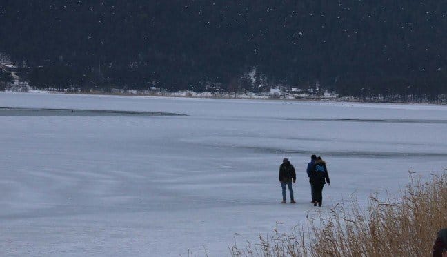 20-01/28/1-1580194904