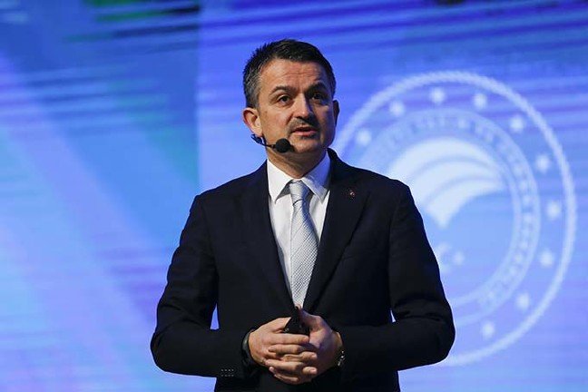 20-01/30/20200130_2_40582234_51653912