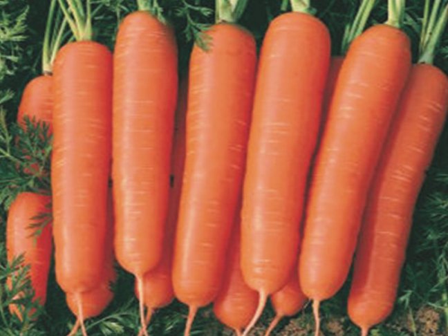 20-02/01/ruyada-havuc-gormek-1