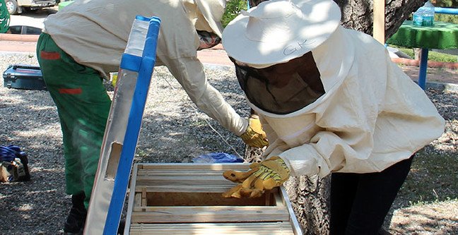 20-02/03/ankaya-kent-tarim2