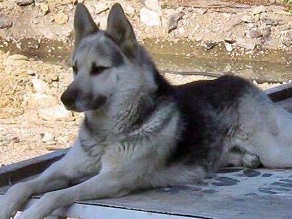 20-02/03/aw926093_03