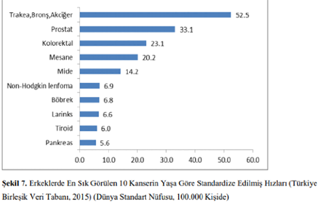 20-02/04/st1-kopya-1580808599