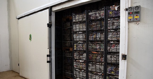 20-02/04/tepebasi-belediyesi1