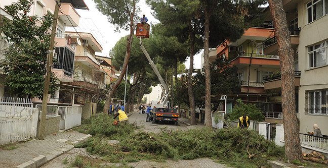 20-02/05/aydin-buyuksehir-belediyesi