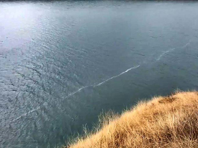 20-02/08/20200208_2_40739278_51937916