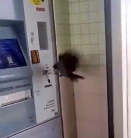 20-02/08/akbiline-yukleyecegi-parasini-kargaya-kaptirdi_3494_dhaphoto1