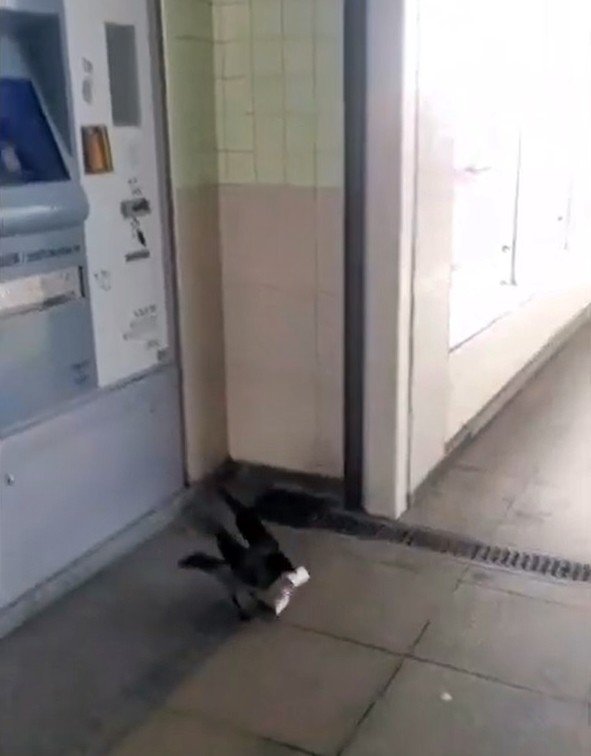 20-02/08/akbiline-yukleyecegi-parasini-kargaya-kaptirdi_3494_dhaphoto2