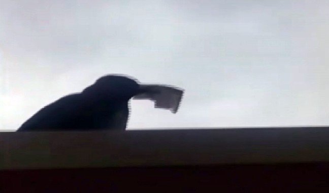 20-02/08/akbiline-yukleyecegi-parasini-kargaya-kaptirdi_3494_dhaphoto3