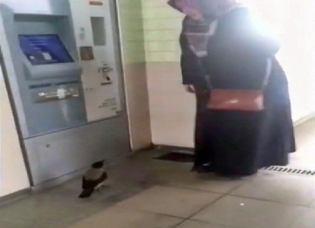 20-02/08/akbiline-yukleyecegi-parasini-kargaya-kaptirdi_3494_dhaphoto4