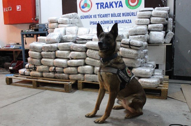 20-02/11/1-1581407642