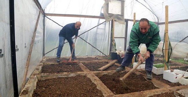 20-02/11/mezitli-belediyesi1