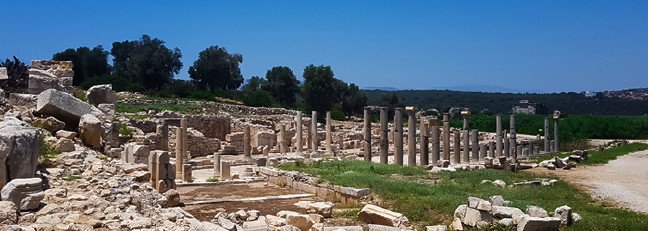 20-02/12/pataraajpgg