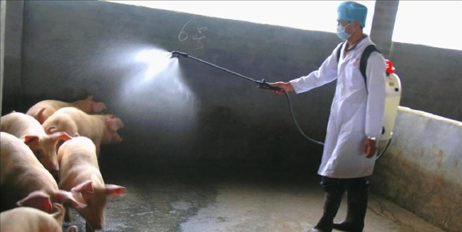 20-02/13/5c728e75ae78493584e46532