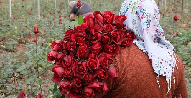 20-02/13/ana-manset-2-1581597787