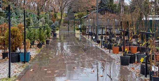 20-02/16/ankara-buyuksehir-belediyesi1