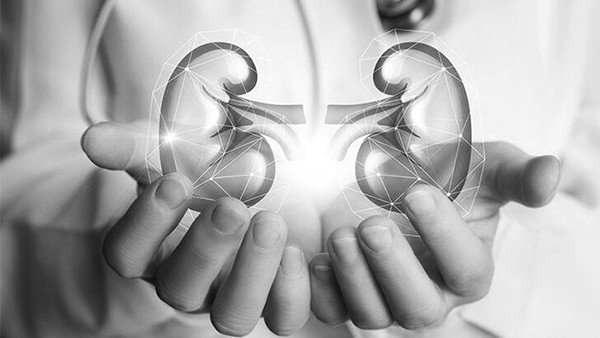 20-02/16/krs10-bobrek