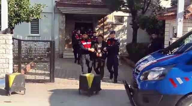 20-02/17/aw939274_01