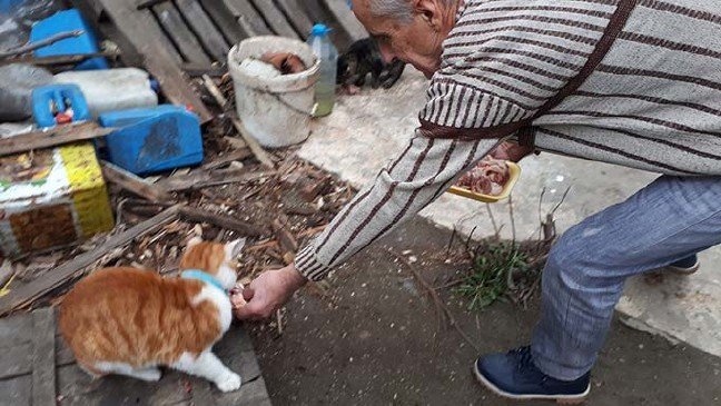 20-02/18/20200218_2_40902391_52266007