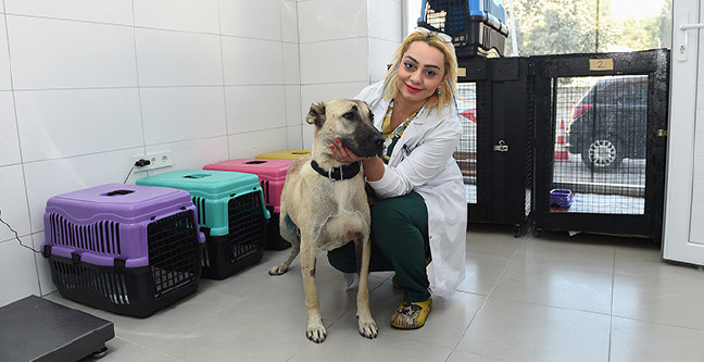 20-02/18/seyhan-belediyesi2