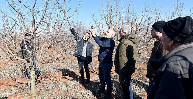 20-02/18/tepebasi-belediyesi1