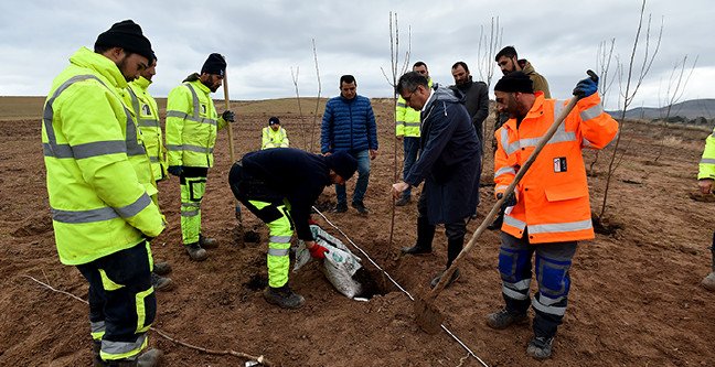 20-02/19/ankara-buyuksehir-belediyesi2-1582118871