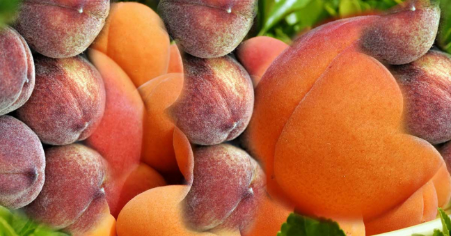 20-02/19/ruyada-seftali-gormek-ne-anlama-gelir-9122